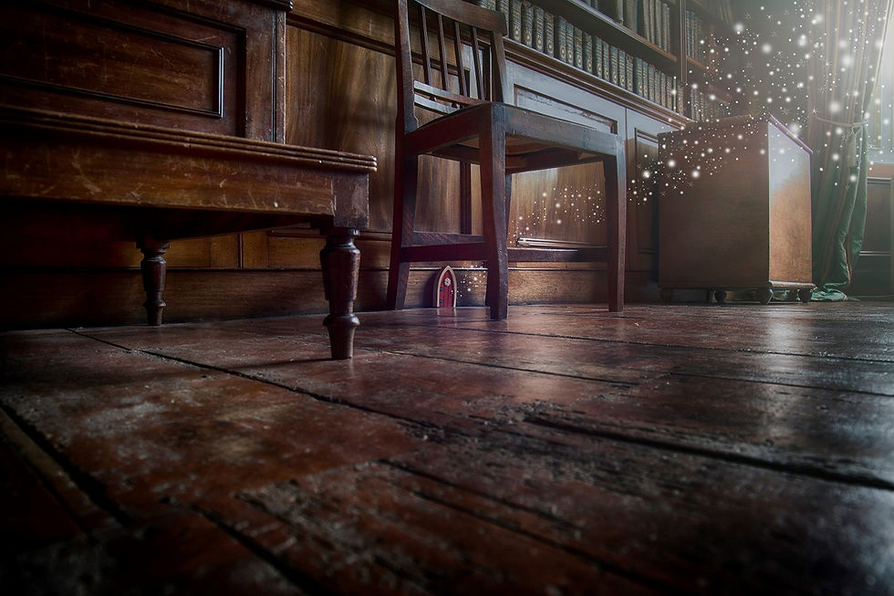 a library in a house with a tiny little door under a chair with fairy dust floating away from it