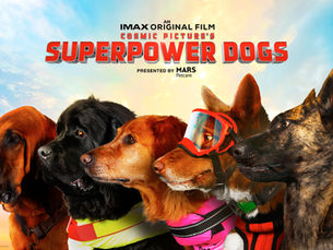 TZUMI PETS BECOMES THE FIRST LICENSEE FOR IMAX ORIGINAL FILM SUPERPOWER DOGS