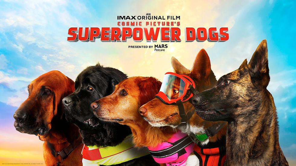 movie poster featuring 5 dogs with a title 'Superpower Dogs'