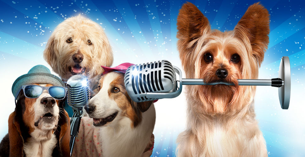 3 dogs singing into a microphone, one dog is holding a microphone stand in its mouth