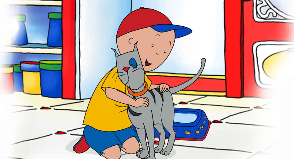 a boy in a red baseball cap hugging his cat